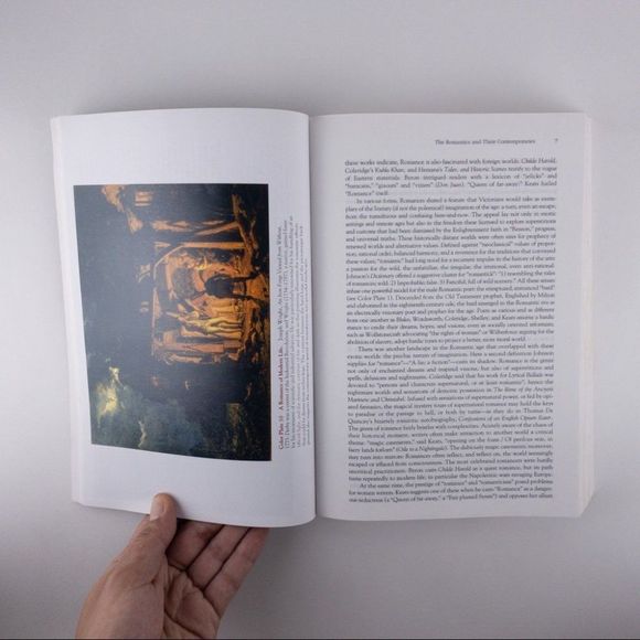 2/$25 - The Longman Anthology British Literature by David Damrosch - Picture 6 of 9